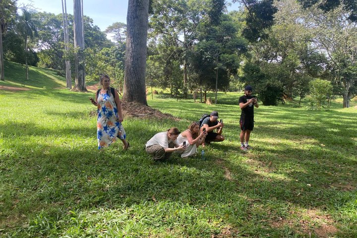 Entebbe Guided Walking Tour with Botanical Gardens & Rollex taste