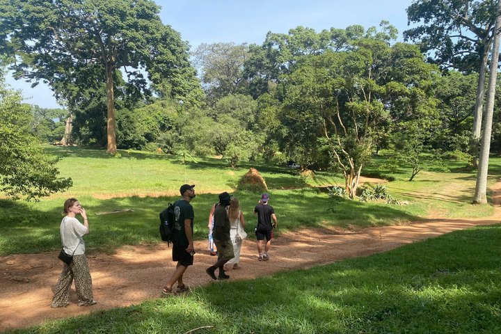 Entebbe Guided Walking Tour with Botanical Gardens & Rollex taste