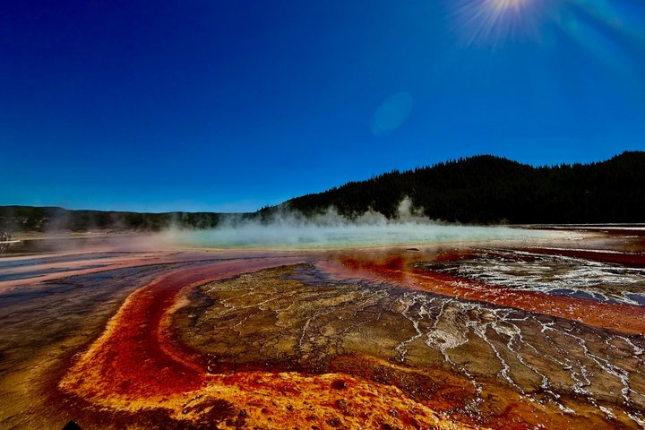 Yellowstone Hot Spots Lower Loop Tour From Cody Wy!