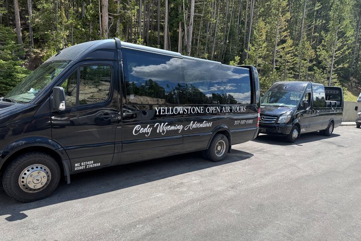 250th Celebration Yellowstone Open Air tour W/lunch and Souvenir