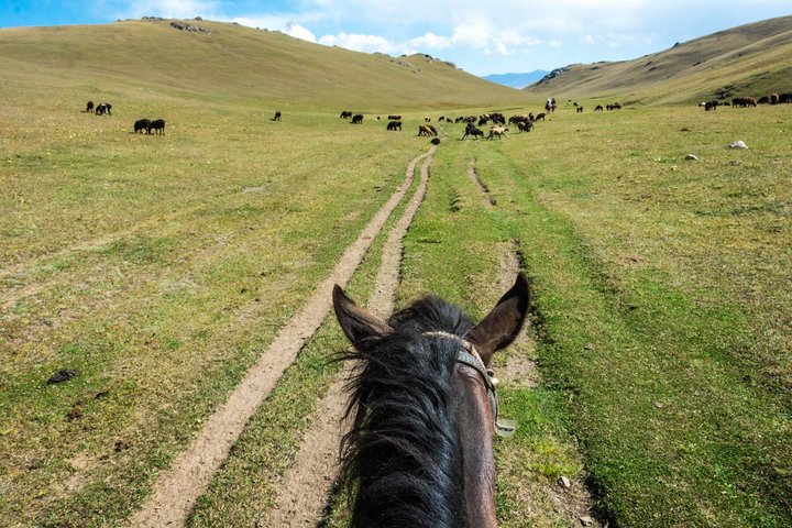 Year-Round Adventure: 3 Days Horse Trek to Song Kul Lake