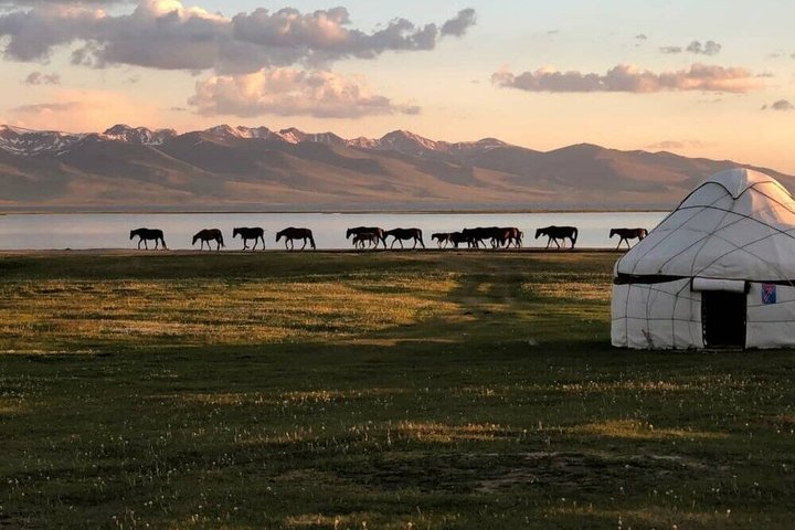 Year-Round Adventure: 3 Days Horse Trek to Song Kul Lake