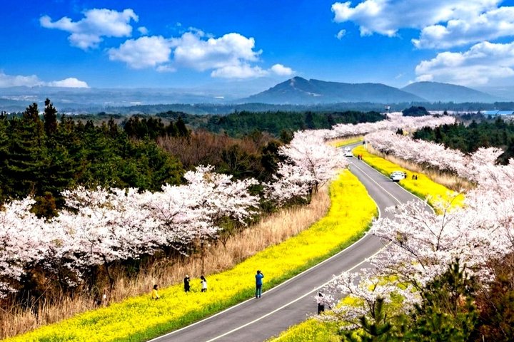 Jeju Shore Excursion for Cruise Passengers: UNESCO & Highlights