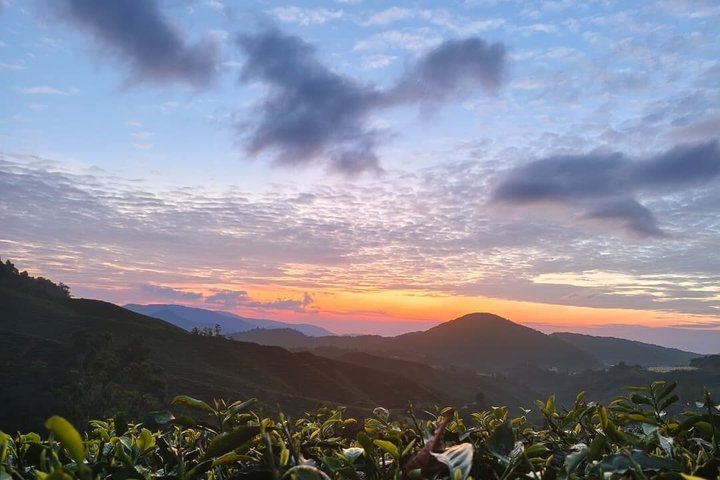Cameron Sunrise Package Discovery Halfday Shared Tour