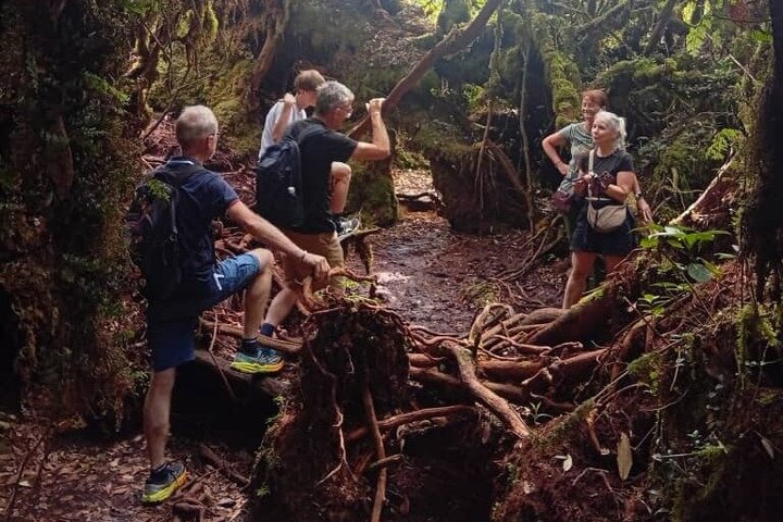 Cameron Sunrise Package Discovery Halfday Shared Tour