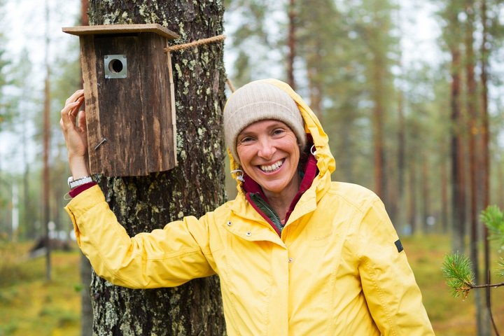 Birdhouse Workshop, Forest Walk & Wilderness Lunch