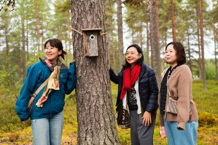 Birdhouse Workshop, Forest Walk & Wilderness Lunch