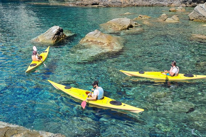 2-hour kayak excursion from Marina di Campo