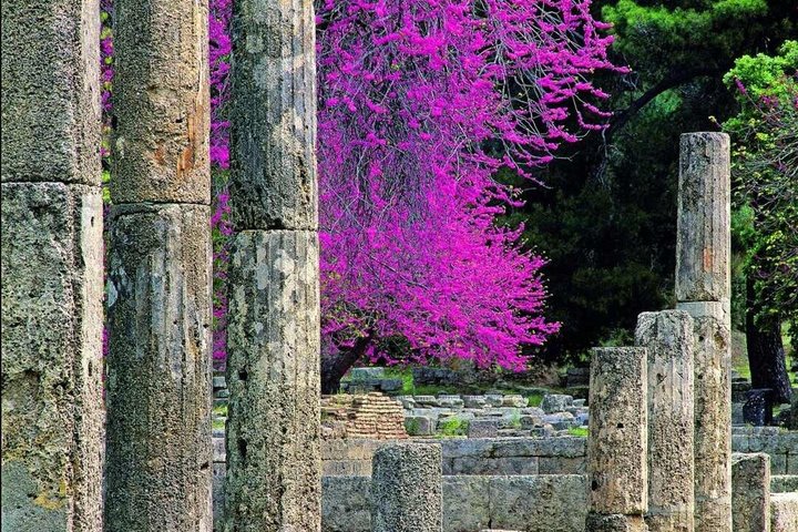 Ancient Olympia and Kalo Nero Beach Full Day Tour