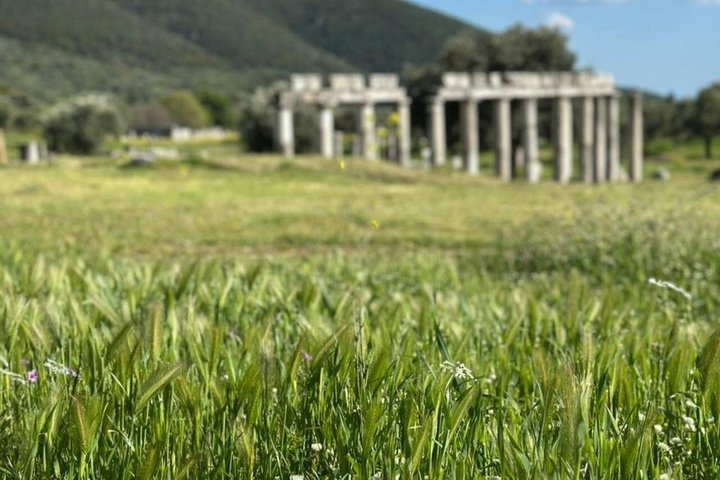 Timeless Ancient Messene A Journey Through History