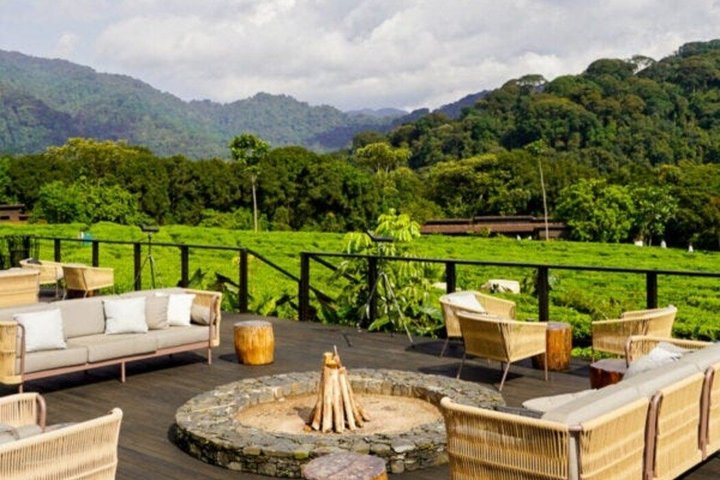 7 Days Rwanda Safari & Nature Experience