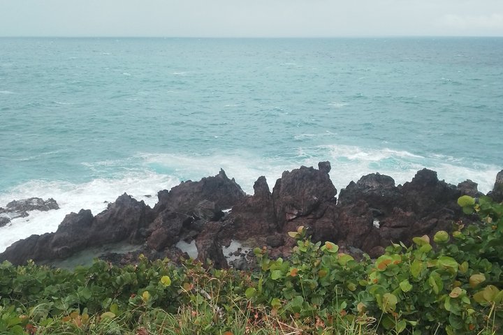 St kitts to Nevis-Liamuiga To Qualie one day two island tour