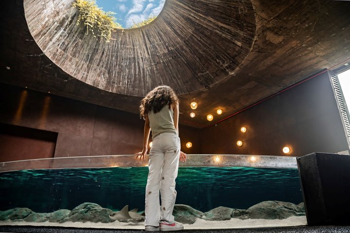 Tickets to the Grand Aquarium Mazatlan