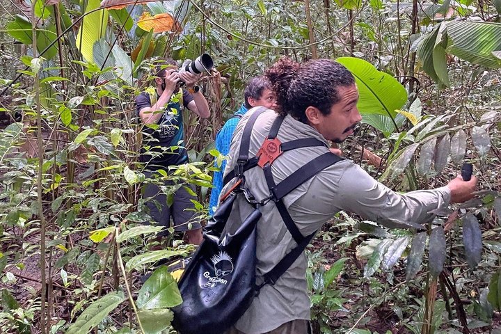 Corcovado National Park LA LEONA Ranger Station Full Day Tour