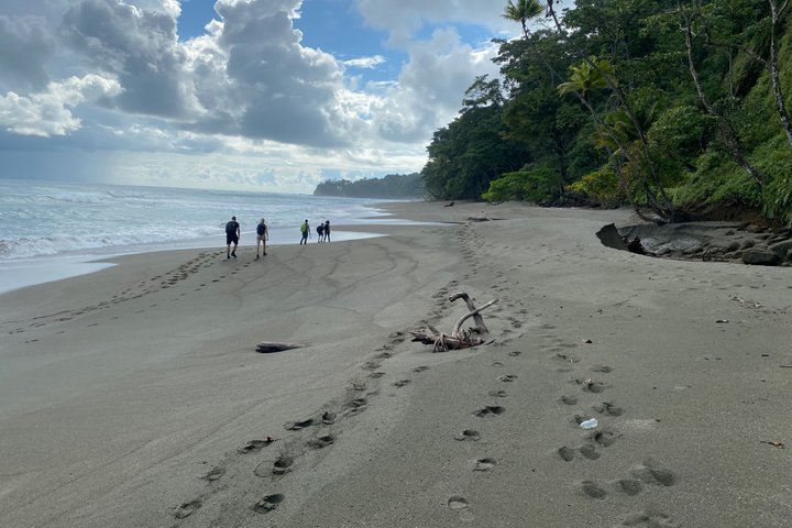 Corcovado National Park LA LEONA Ranger Station Full Day Tour