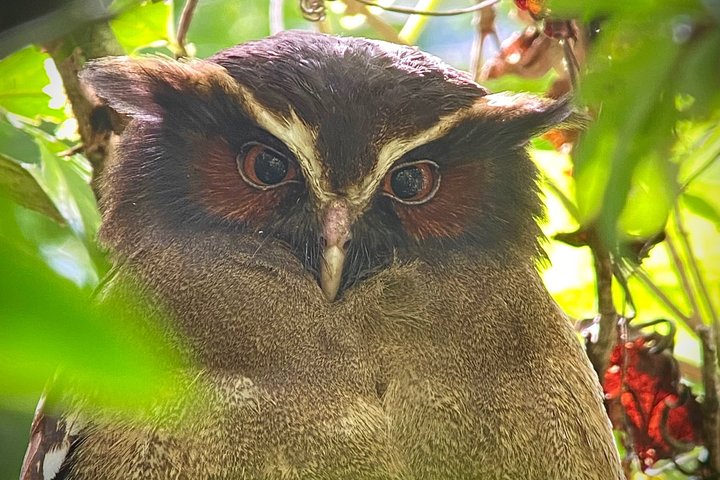 Corcovado National Park LA LEONA Ranger Station Full Day Tour