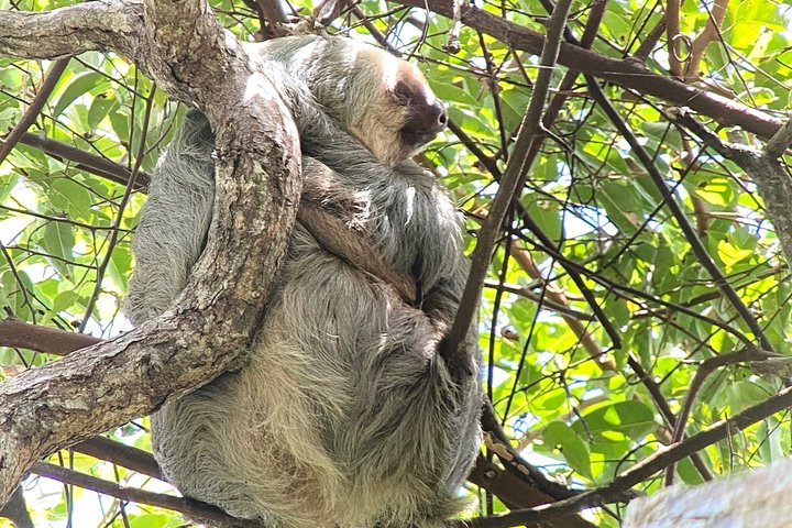 Corcovado National Park LA LEONA Ranger Station Full Day Tour