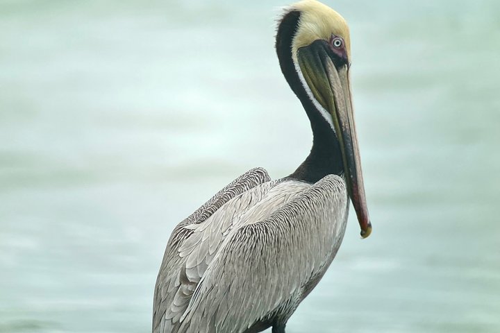 Corcovado National Park LA LEONA Ranger Station Full Day Tour