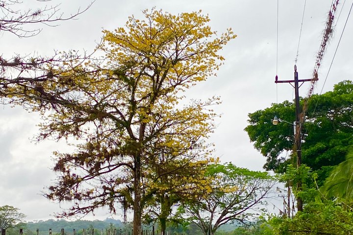 Corcovado National Park LA LEONA Ranger Station Full Day Tour