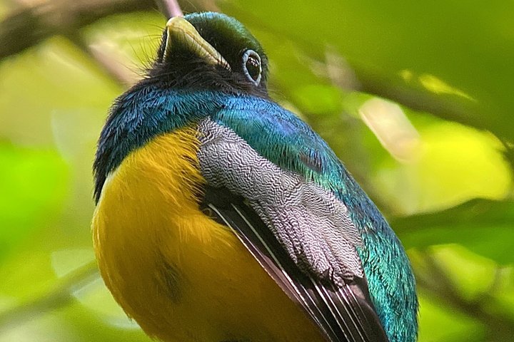Corcovado National Park LA LEONA Ranger Station Full Day Tour