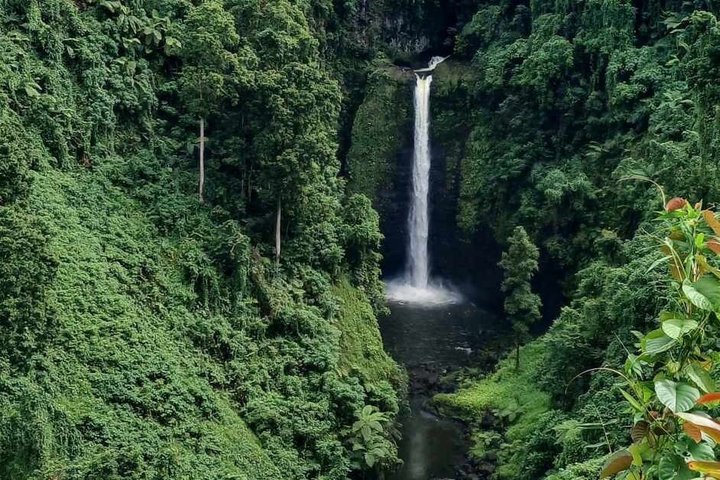 Apia Samoa : Full Day ,Cruise ship Excursion
