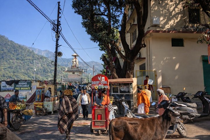 Rishikesh: Beatles Ashram Art & Meditation Heritage Walk