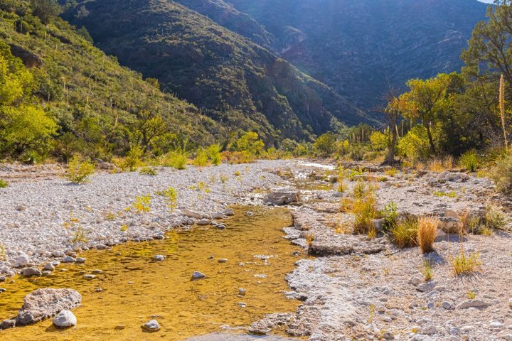 Big Bend & Guadalupe National Parks GPS Audio Driving Tour Bundle