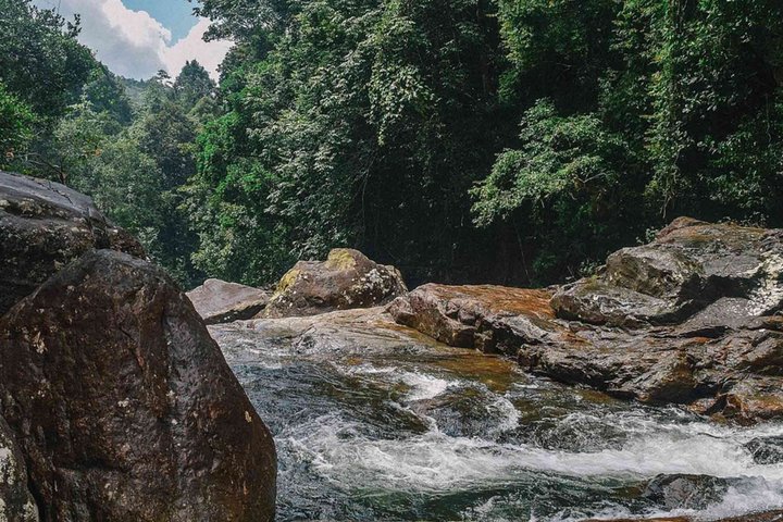 Kanneliya Rain Forest Guided Tour from Galle