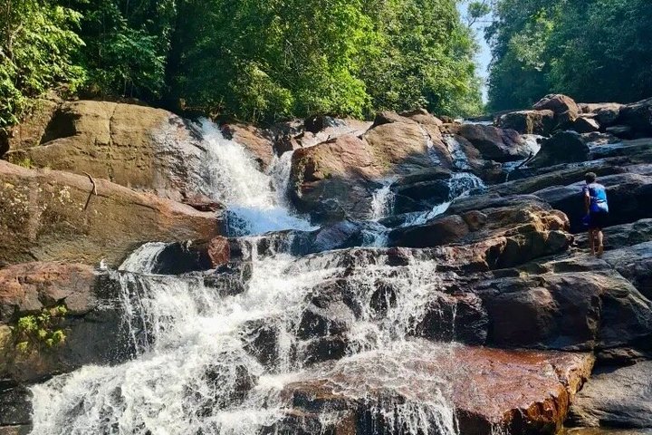 Kanneliya Rain Forest Guided Tour from Galle