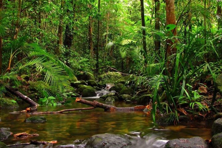 Kanneliya Rain Forest Guided Tour from Galle