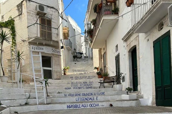 Tour : Alberobello, Ostuni, Locorotondo : Local Guide & Lunch
