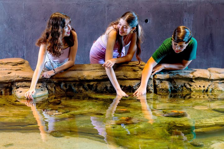Tickets to the Grand Aquarium Mazatlan