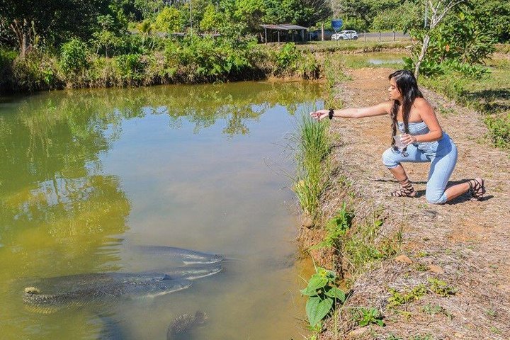 Visit the Ecuadorian Amazon