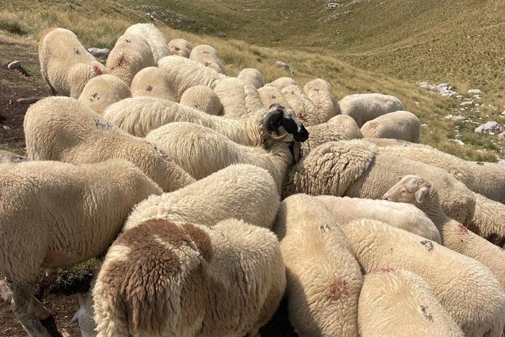 Durmitor Ring Tour Panoramic Views