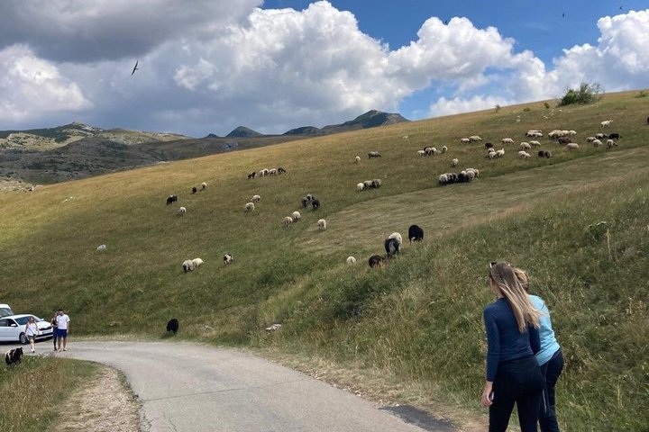Durmitor Ring Tour Panoramic Views