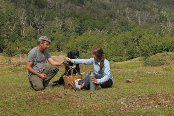 Half-Day Hidden Patagonia Tour from San Martín de los Andes