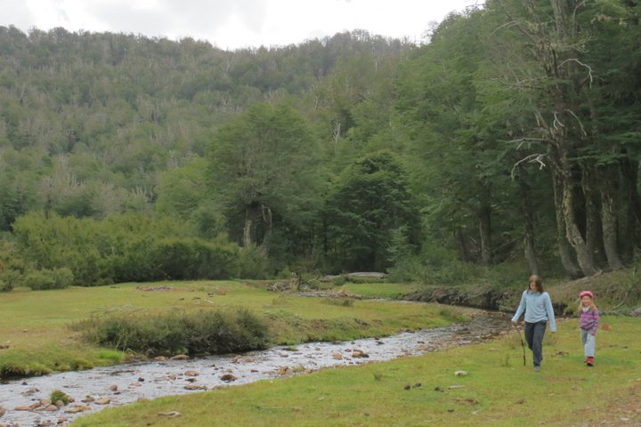 Half-Day Hidden Patagonia Tour from San Martín de los Andes