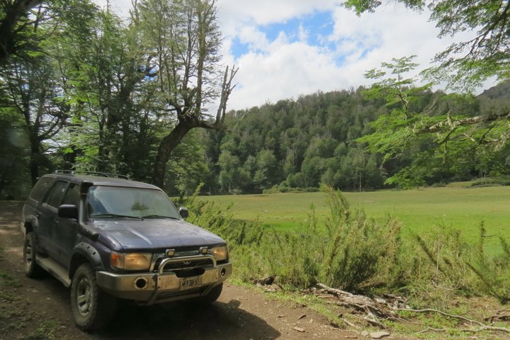 Half-Day Hidden Patagonia Tour from San Martín de los Andes