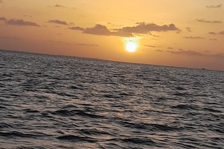 Sunset and Dolphin Tour Suriname
