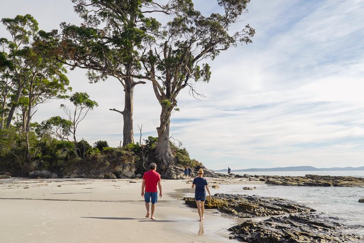 All Inclusive Bruny Island Day Tour Plus Guided Lighthouse Tour
