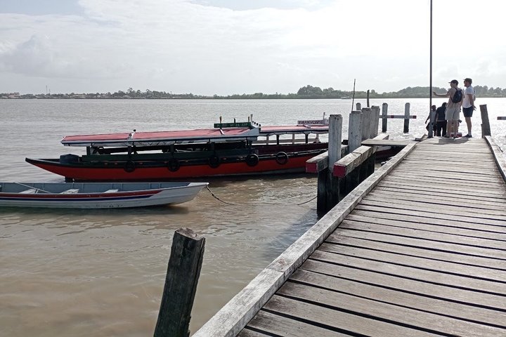 Sunset and Dolphin Tour Suriname