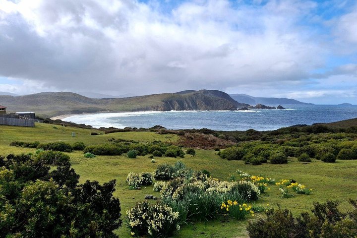 Bruny Island Full Day Tour inc Exclusive Lighthouse Tour