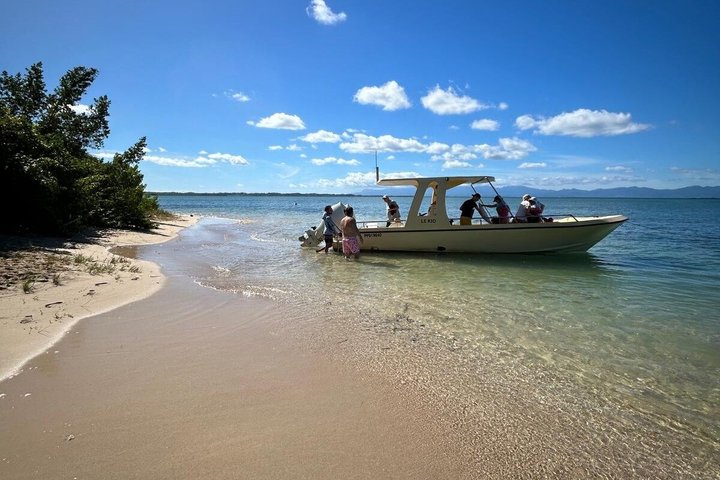 Mangrove Boat Tour Small Group Guadeloupe