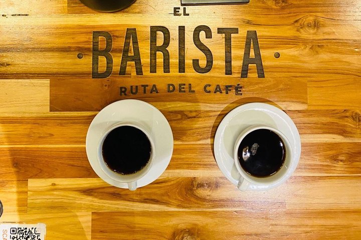 Explore Pereira; History, Gastronomy, coffee and cable car