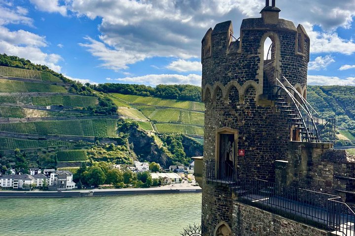 Rhein valley Castle & Palace winery tour from Frankfurt