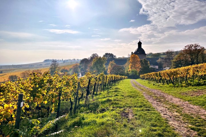 Rhein valley Castle & Palace winery tour from Frankfurt