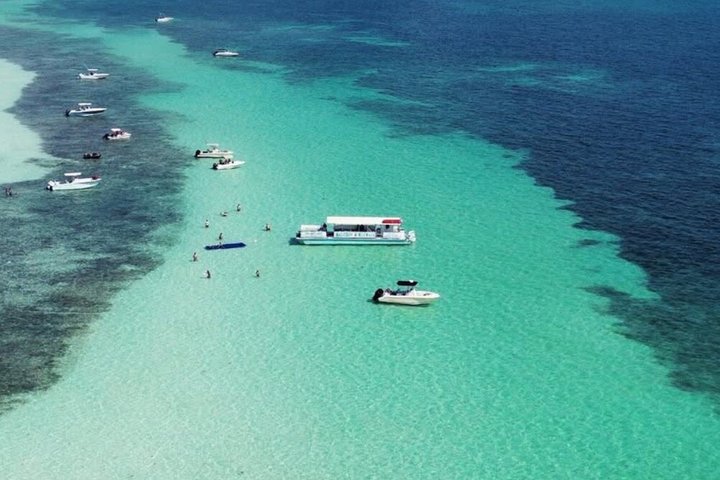Snorkel and Sandbar Combo Adventure in Islamorada
