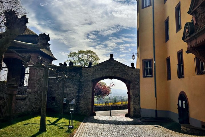 Rhein valley Castle & Palace winery tour from Frankfurt
