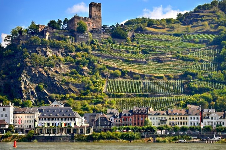 Rhein valley Castle & Palace winery tour from Frankfurt