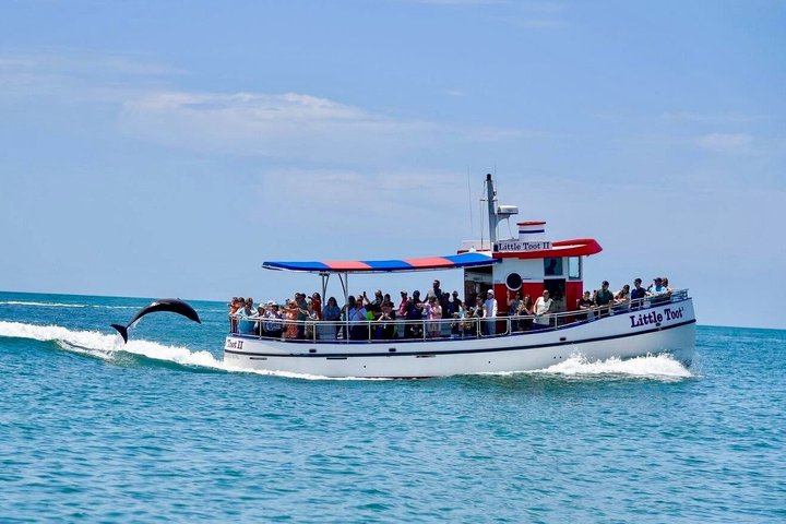 Little Toot Dolphin Adventure at Clearwater Beach